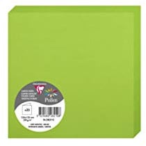 Clairefontaine 2821C Packung (mit 25 Doppelkarten Pollen, Gefaltet, 135 x 135 mm) 210g, minze