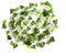 Best Artificial 200cm / 7ft Ivy Garland Hanging Vine String Plant (English - IL03)