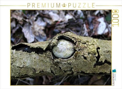 CALVENDO Puzzle Mit einem Stein im Brett ... | 1000 Teile Lege-Größe 64 x 48 cm Foto-Puzzle für glückliche Stunden