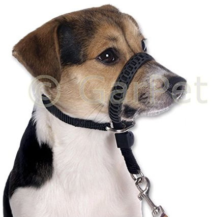 Tommi Erziehungsgeschirr Ausbildungshalfter Halfter Maulschlaufe (M) für Hunde, Schwarz, Größe S, M, L