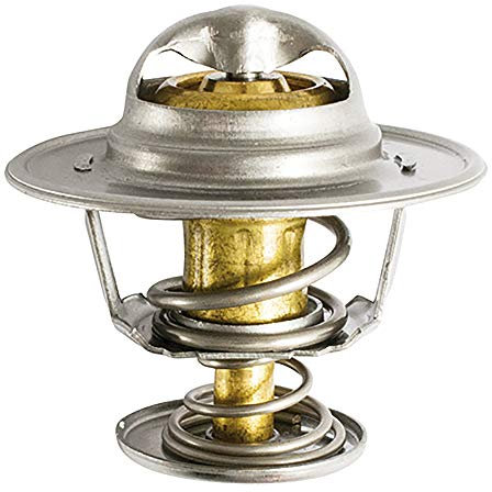 FAE 5303888 Termostato, Refrigerante