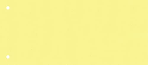 Brunnen 106604000 Trennstreifen (10,5 x 24 cm quer, aus Karton, gelocht, 100 Trennstreifen) weiß