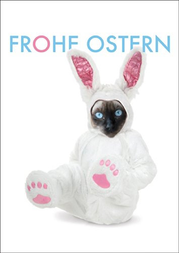 Kartenkaufrausch Lustige Osterkarte mit Siamkatze in Osterhasenkostüm Frohe Ostern