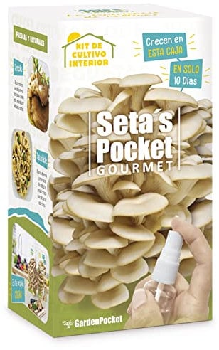 SETAS POCKET - Kit de SETAS AUTOCULTIVO - Cultivar setas en casa en solo 10 días.