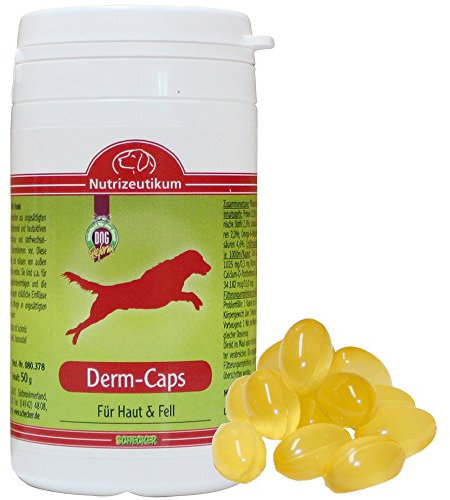 Schecker Derm-Caps 50g (125 Tabs) gegen trockener, schuppiger und juckender Haut stumpfem, glanzlosem Fell bis oder Haarausfall für den Hund