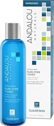 Andalou Aloe Plus Willow Bark Pore Minimizer 178 ml