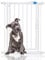 Bettacare Auto Close Pet Gate, 61cm - 66.5cm, White, Extra Narrow, Narrow Pressure Fit Stair Gate for Dog & Puppy, Safety Barrier for Narrow Doors Hallways and Spaces, Easy Installation