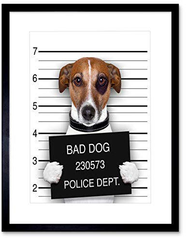 Wee Blue Coo Jack Russell Dog Mugshot Police Bad Picture Framed Wall Art Print