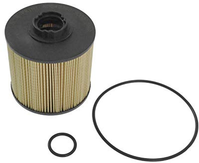 Blue Print ADC42360 Fuel Filter