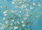 Close Up Van Gogh Riesenposter Mandelblüten, 1890 (140cm x 100cm)