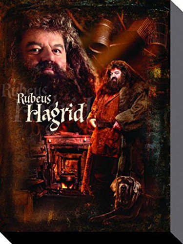 Harry Potter 1art1 Poster Rubeus Hagrid, Gryffindor Bilder Leinwand-Bild Auf Keilrahmen | XXL-Wandbild Poster Kunstdruck Als Leinwandbild 50x40 cm