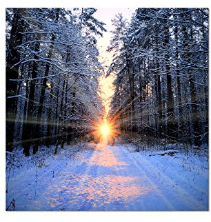 Paul Sinus Art 80x80cm - WANDBILD Wald Winter Schnee Sonnenaufgang - Leinwandbild auf Keilrahmen modern stilvoll - Bilder und Dekoration