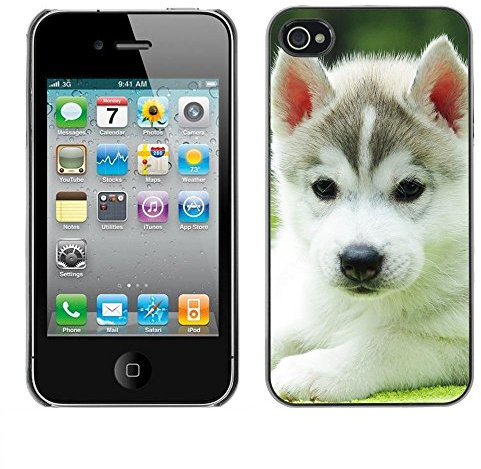 Be Good Phone Accessory // Hard Shell Protective Cover Case for Apple Iphone 4 / 4S // Husky Alaskan Malamute Mixed Puppy Dog
