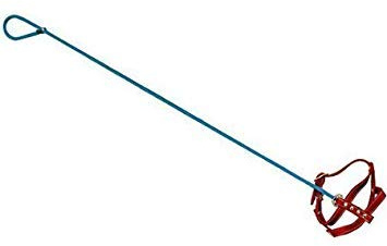 Invisible Dog & Leash by Ruksikhao