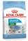 Royal Canin Mini Starter Mother & babydog, 1er Pack (1 x 1 kg)