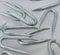 Galvanised Staples (CHOOSE YOUR NAIL SIZE) (CHOOSE YOUR PACK SIZE) Fencing Netting U Staple Nails (100, 15mm)