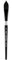 Silver Brush Limited - Pinceau Langue de Chat pour l’Aquarelle 3009S3/4in Black Velvet - Manche Court - Taille 3/4