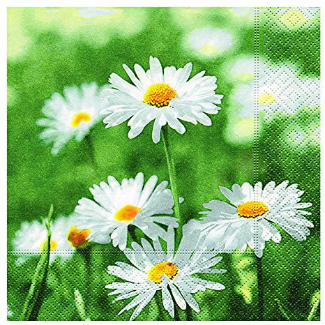 Paper+Design Servietten voller Margeriten, Blumen, Garten 33x33cm (20 Stück)