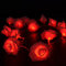 FULLBELL Fairy String Lights Red Rose Flower Lights 20 LED Battery Operated Indoor String Lights Romantic Gift for Date Wedding Valentine's Day Dreamlike Party Bedroom Girl Girlfriend Women (Red)