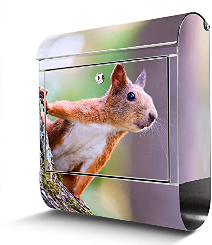 banjado® Briefkasten Edelstahl mit Motiv Eichhörnchen 38x43x12cm & 2 Schlüssel - rostfreier Edelstahl Briefkasten mit Zeitungsfach - Postkasten A4 Einwurf inkl. Montagematerial