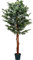 PLANTASIA Kunstpflanze Zimmerpflanze 150 cm