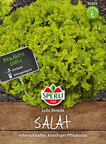 Sperli Pflücksalatsamen Lollo Bionda 82889, Gemüsesaat | Fein gekrauster Blattsalat mit kräftig-knackigem Geschmack, Freiland und Gewächshaus