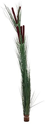 EUROPALMS Schilfgras mit Kolben, künstlich, dunkelgrün, 152cm