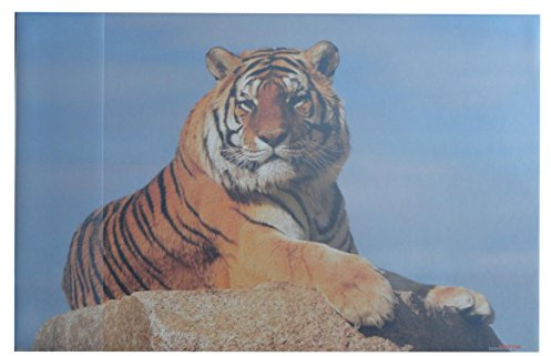 Schreibtischunterlage 58,5x38,5cm / Tiger
