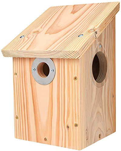 Wildlife World Camera Ready Nest Box CRNB