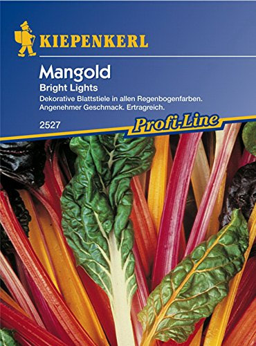 Kiepenkerl, Mangold Bright Lights