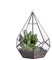 NCYP Geometric Hanging Glass Terrarium for Succulents, Fern Cacti, Air Plant - Modern Diamond Shape, Indoor Garden Tabletop Clear Planter Pot, Handmade, Large (Terrarium Only)