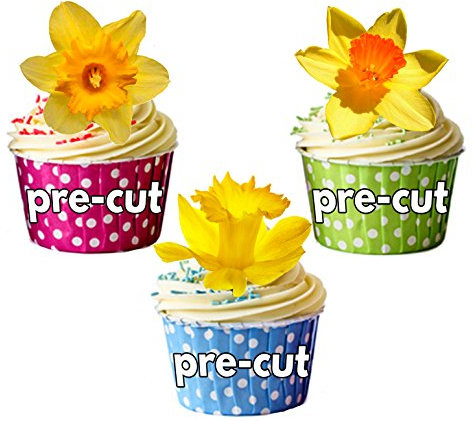 AK Giftshop Vorgeschnittene Narzissen Frühling/Ostern – essbare Cupcake-Topper/Kuchendekorationen (12 Stück)