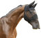 Kerbl 321274 Fly Mask Including Nose-Ridge and Ear Protection for Warmblood Horses