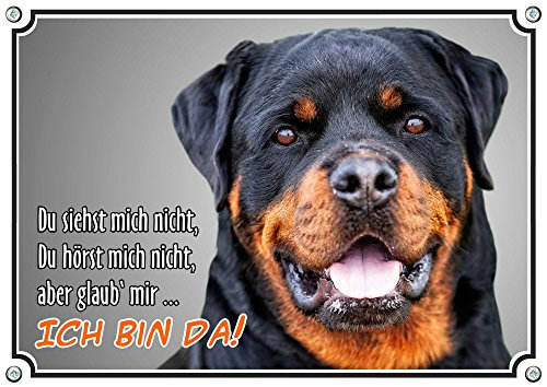 Petsigns Hundeschild - Rottweiler - stabiles Metallschild mit Fotodruck - uv beständig, DIN A4