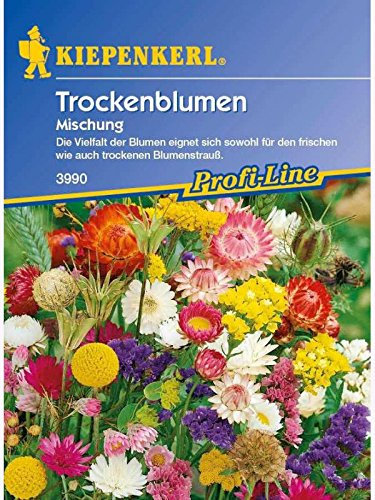 Trockenblumen Mischung