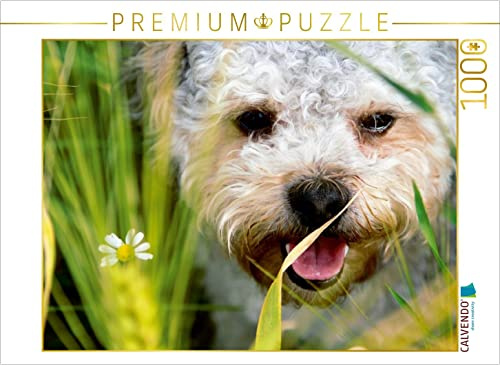 CALVENDO Puzzle EIN Motiv aus dem Kalender Bolonka 2017 | 1000 Teile Lege-Größe 64 x 48 cm Foto-Puzzle für glückliche Stunden