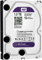 Western Digital WD Purple HDD Interno 1000 GB, SATA III, 6000 Mbit/s, 5400 rpm, 64 MB, 3.50 Pollici