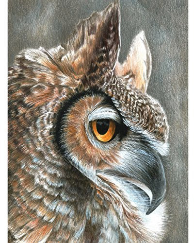 Royal Brush Buntstift nach Zahlen-Set, Karton, Mehrfarbig, 1 Stück (1er Pack)