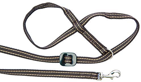 Gencon Collier tout-en-un pour chien Licol/collier et laisse Café/crème