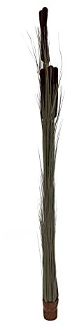 EUROPALMS Schilfgras mit Kolben, künstlich, Dunkelbraun, 152cm