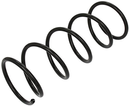 lesjofers 4092570 Coil Spring Front