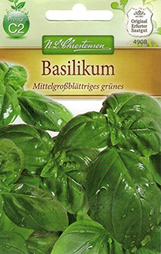 Chrestensen Basilikum 'Mittelgroßblättriges grünes'