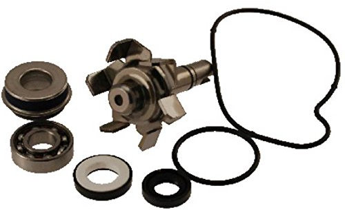 Variante Kit REVISIONE Pompa 50CC (cod 77093605 Kit revisione Pompa Acqua Completo di girante e Guarnizione Compatibile con Yamaha t-Max 500 Anno dal 2001-2002-2003-2004-2005-2006-2007)