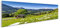islandburner Bild Bilder auf Leinwand Alpenwiese Alpen Bayern Panorama XXL Poster Leinwandbild Wandbild Dekoartikel Wohnzimmer Marke