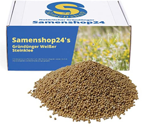 Weißer Steinklee melilotus alba 1kg