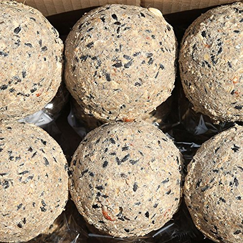 Paul´s Mühle Riesen-Meisenknödel, Ergänzungsfutter für Wildvögel, ohne Netz im Karton, 48 Stück (3 x 16 x 500 g)