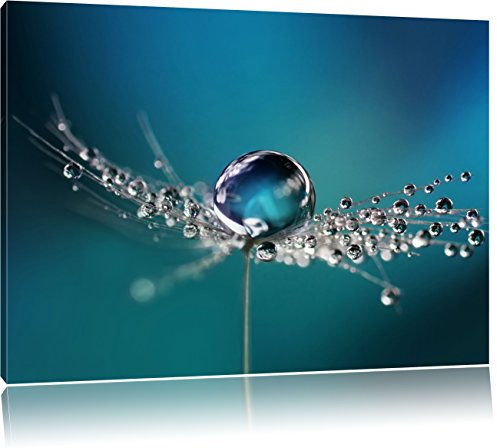 Pixxprint Wassertropfen auf Einer Pusteblume, Größe: 100x70cm, Leinwandbild, fertig gespannt, Wandbild, Dekoration, Kunstdruck, kein Poster