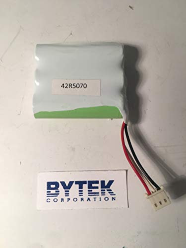 IBM Ersatzteil Cache Battery Pack **New Retail**, 42R5070