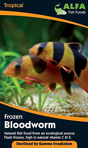 ALFA Frozen Bloodworm Fish Food 10 Pack – Natural Frozen Feed for Tropical & Coldwater Aquarium Fish