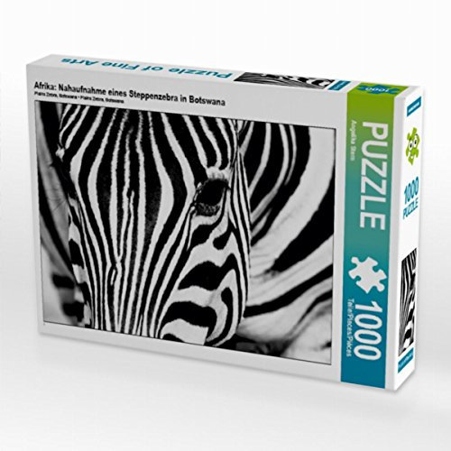 CALVENDO Puzzle Afrika: Nahaufnahme eines Steppenzebra in Botswana 1000 Teile Puzzle quer | 1000 Teile Lege-Größe 64 x 48 cm Foto-Puzzle für glückliche Stunden